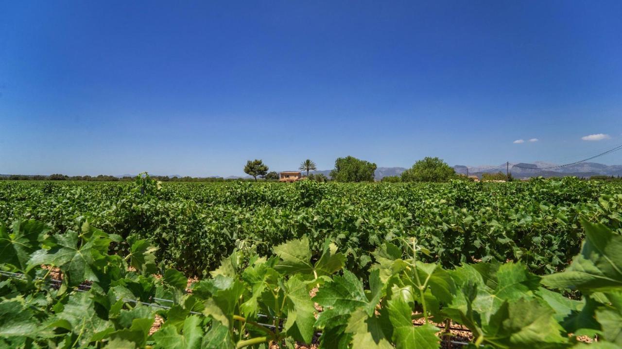 Vinyes Can Grau Sencelles Exterior foto